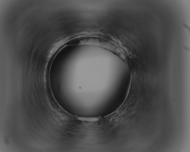 X0000092310340200710051242