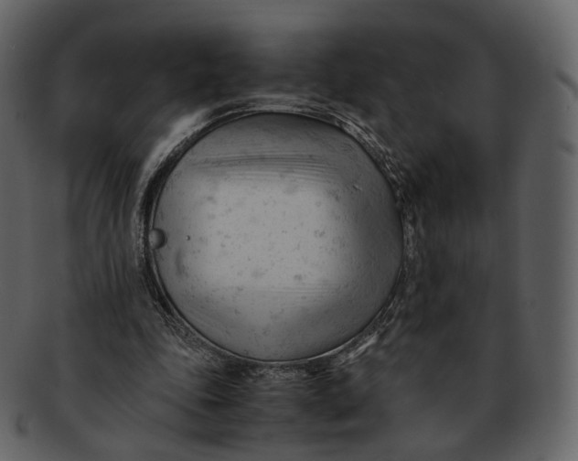 X0000092310343200710051242