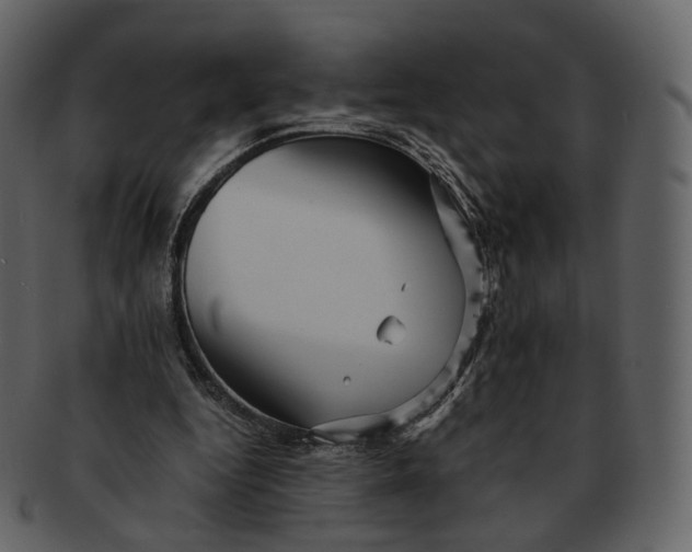 X0000092310344200710051242