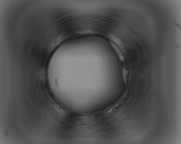 X0000092310345200710051242