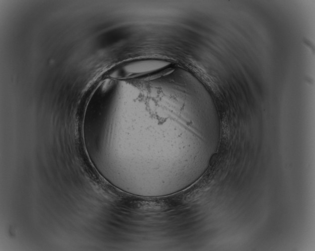 X0000092310347200710051242