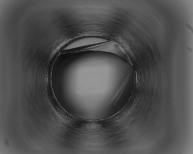 X0000092310348200710051242