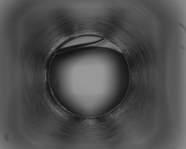 X0000092310350200710051242