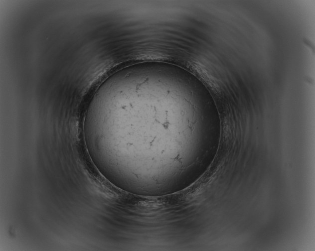 X0000092310351200710051242