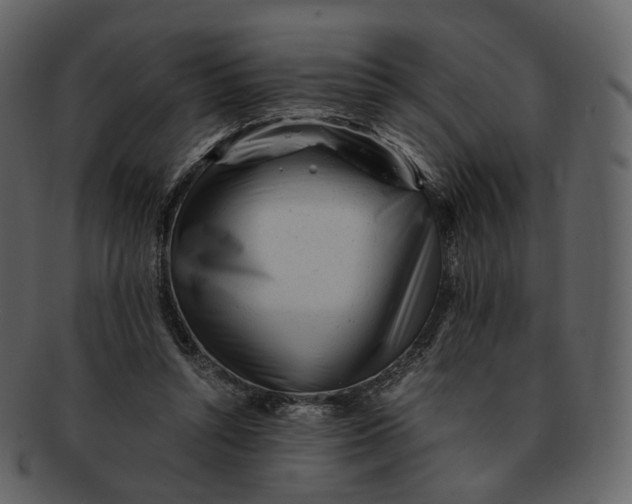 X0000092310352200710051242