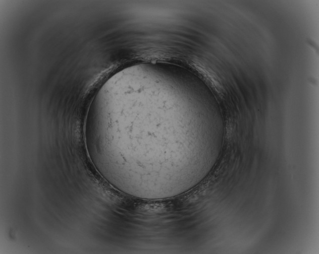 X0000092310353200710051242