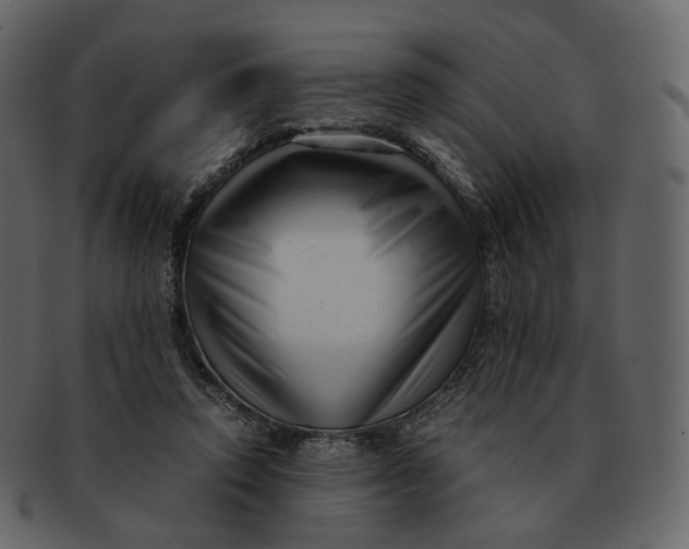 X0000092310354200710051242