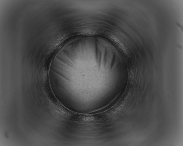 X0000092310355200710051242