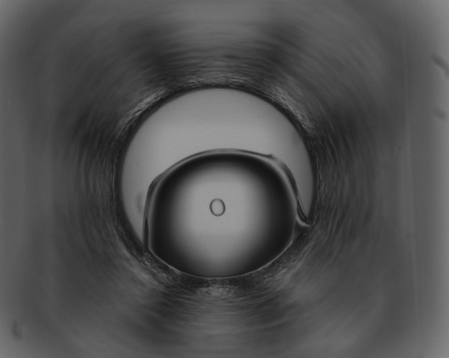 X0000092310356200710051242