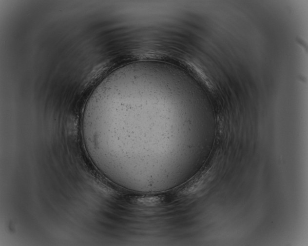 X0000092310357200710051242
