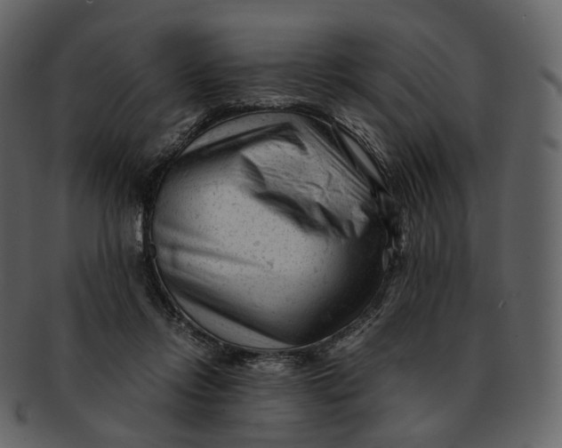X0000092310358200710051242