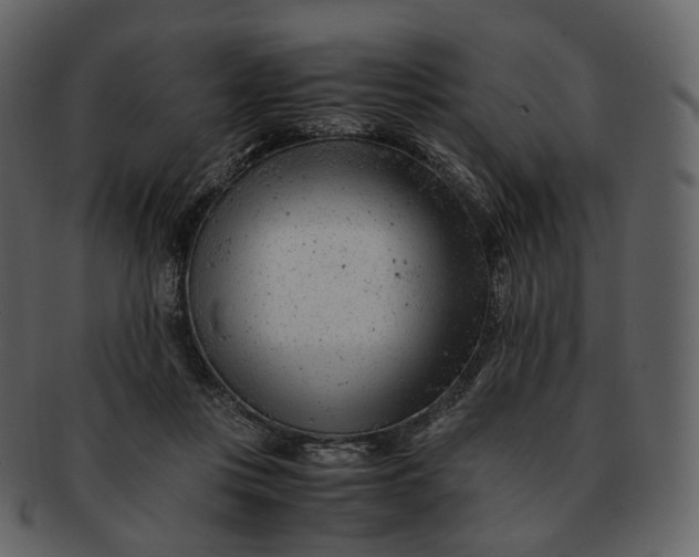 X0000092310359200710051242