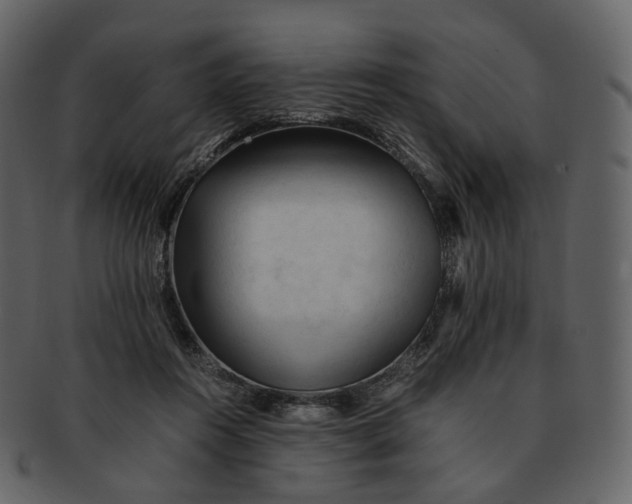 X0000092310360200710051242