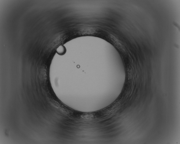 X0000092310362200710051242