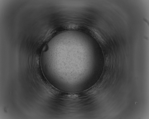 X0000092310363200710051243