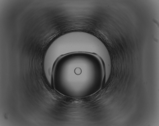 X0000092310364200710051243