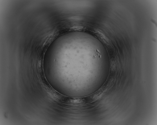 X0000092310365200710051243