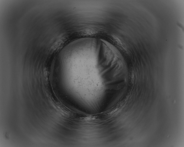 X0000092310366200710051243