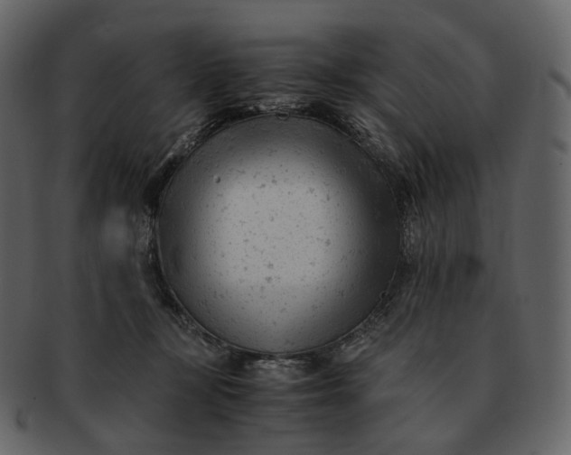 X0000092310367200710051243