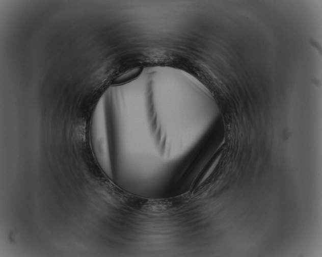 X0000092310368200710051243