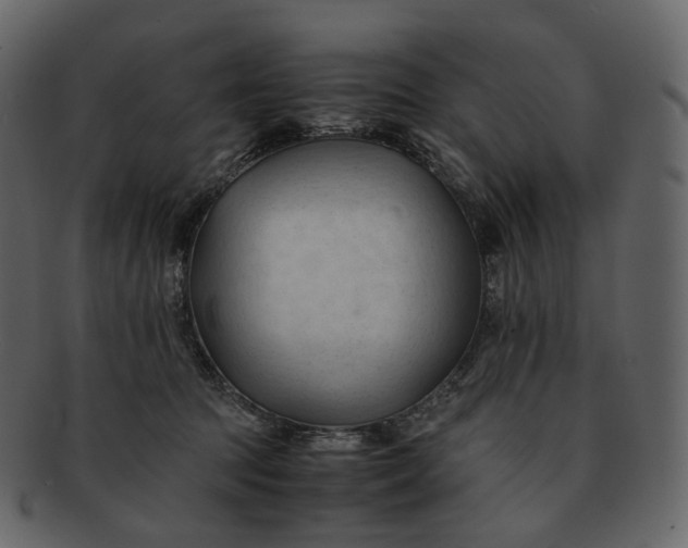 X0000092310369200710051243