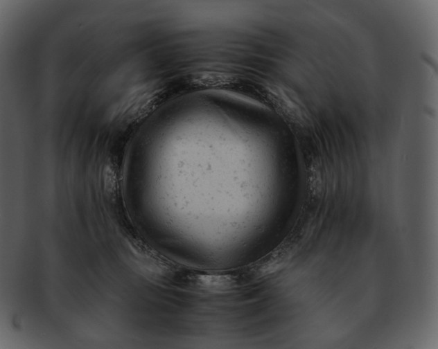 X0000092310371200710051243