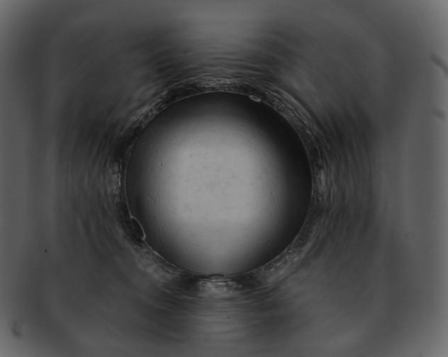 X0000092310372200710051243