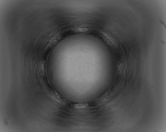 X0000092310373200710051243