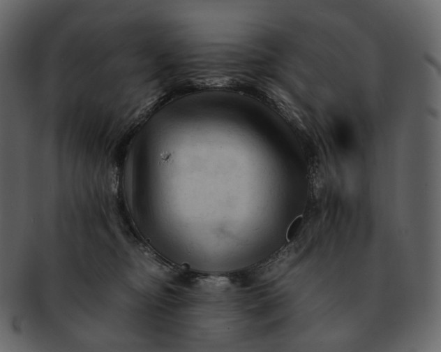 X0000092310374200710051243