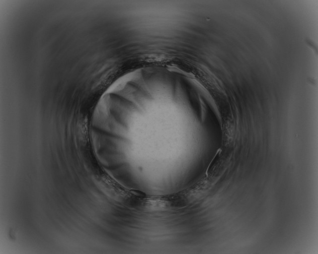 X0000092310376200710051243