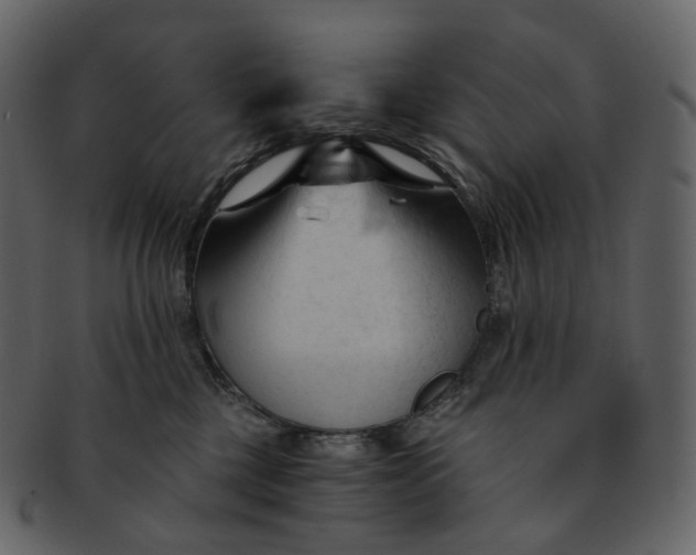 X0000092310377200710051243