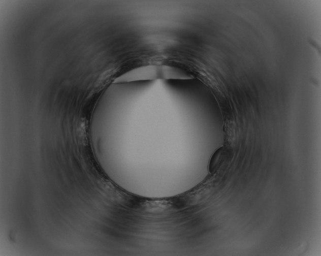 X0000092310378200710051243