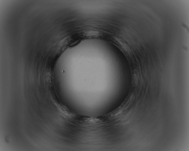 X0000092310379200710051243