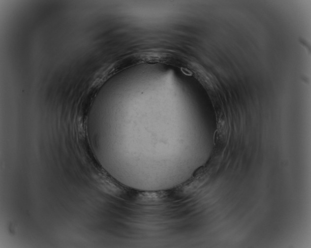 X0000092310381200710051243