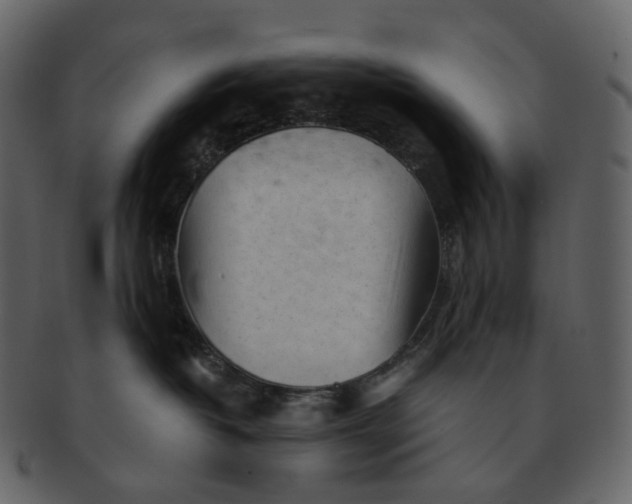 X0000092310382200710051243