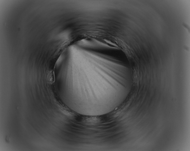 X0000092310383200710051243