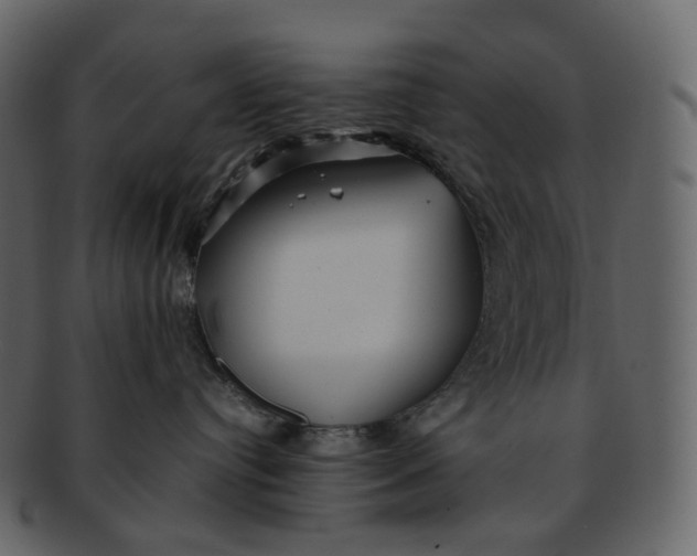 X0000092310384200710051243