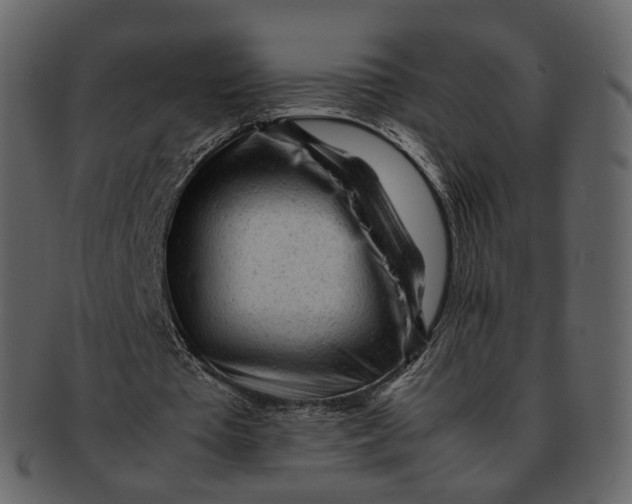 X0000092310385200710051242