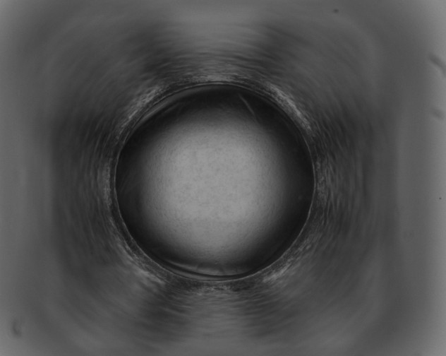 X0000092310386200710051242