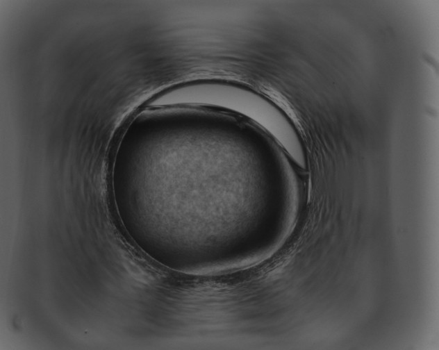 X0000092310387200710051242
