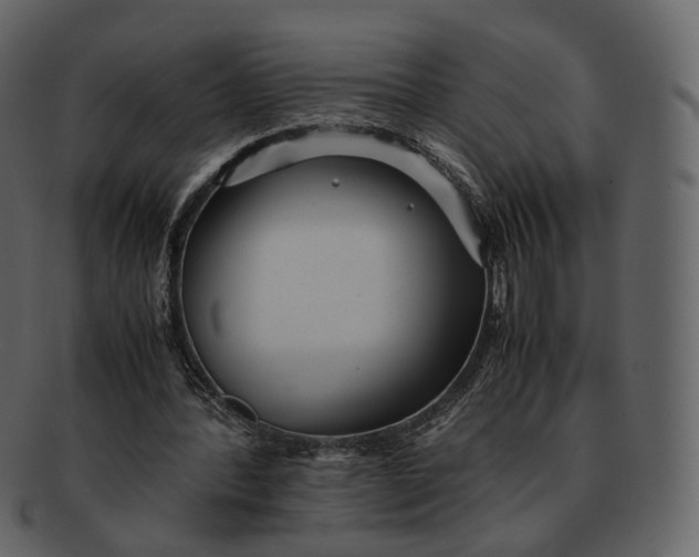 X0000092310388200710051242
