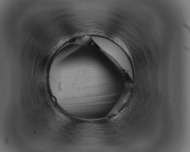 X0000092310389200710051242