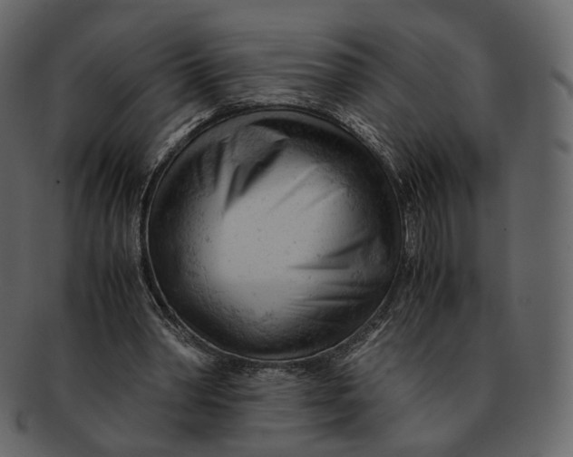 X0000092310390200710051242
