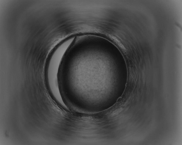X0000092310391200710051242
