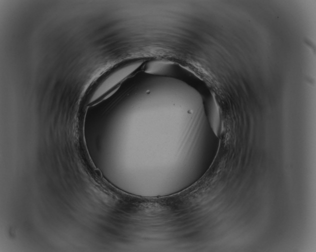 X0000092310392200710051242