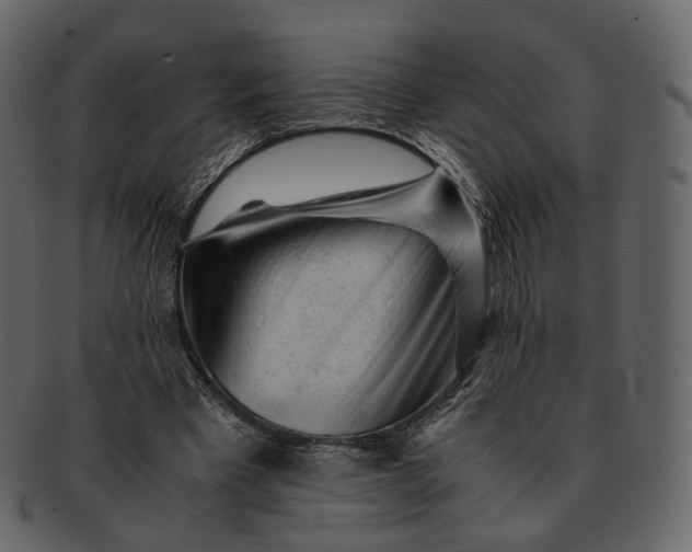 X0000092310393200710051242