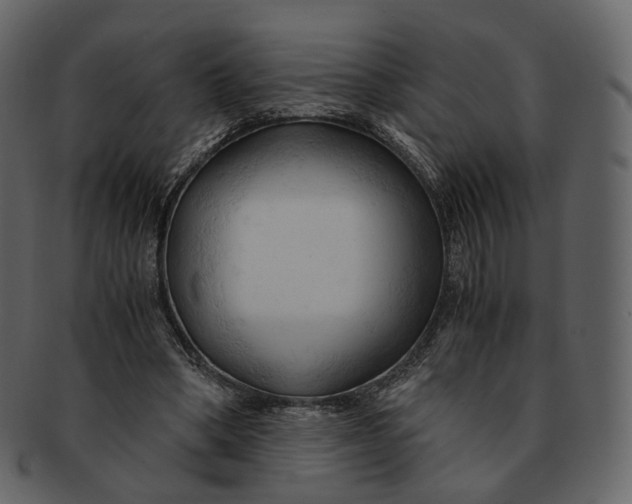 X0000092310394200710051242