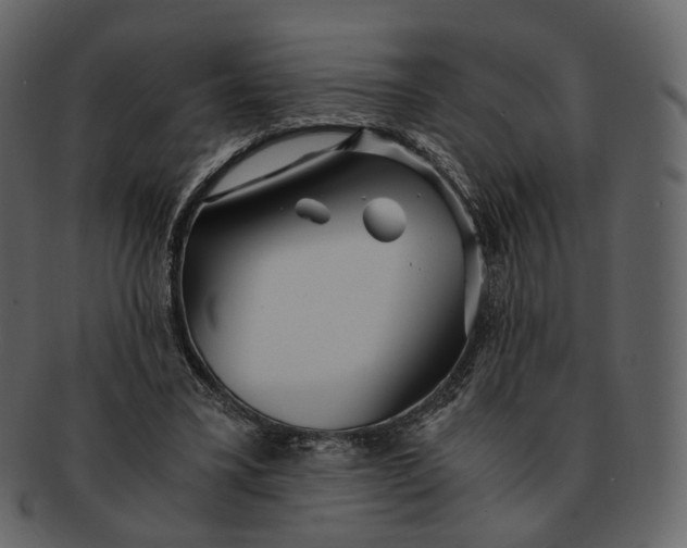 X0000092310395200710051242