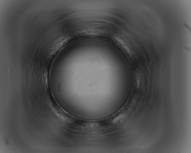 X0000092310398200710051242