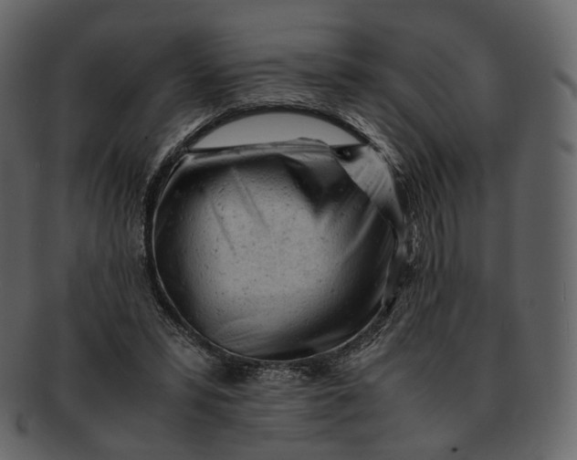 X0000092310399200710051242
